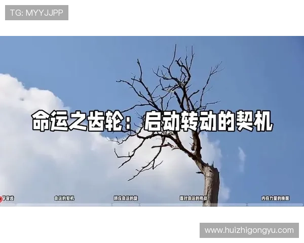 《复仇第三季》：当命运的齿轮再次转动，你准备好迎接怎样的风暴？