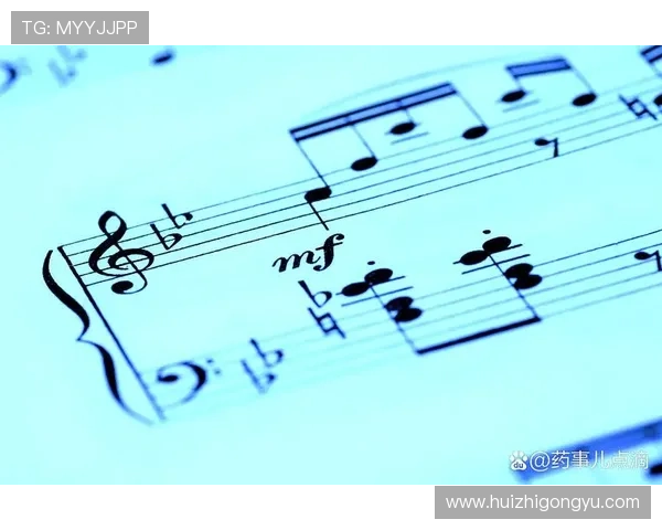 七音符:触碰心灵的魔法,奏响生活的乐章